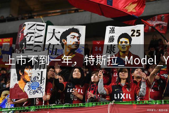 上市不到一年，特斯拉 Model Y L 集体后轮塌陷！连根手指都塞不进去...